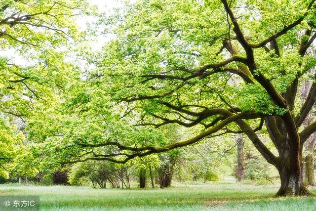 ��Ƥ̫����ô�죿��ס��2��5�У�������Ƥ�������һ���ʺ��㣡