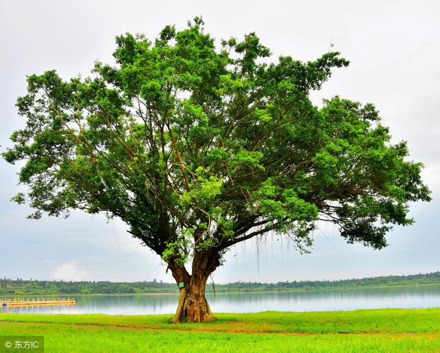 ��Ƥ̫����ô�죿��ס��2��5�У�������Ƥ�������һ���ʺ��㣡