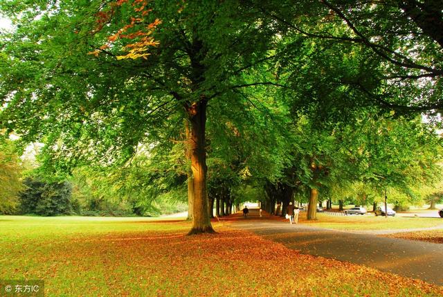 ��Ƥ̫����ô�죿��ס��2��5�У�������Ƥ�������һ���ʺ��㣡