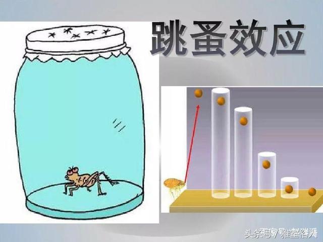 綥˼ά-ѧЩٷܶʮ