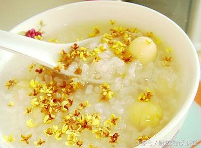 学会直接开粥店的几十种粥的做法大全