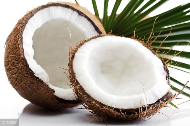 狗狗最喜欢什么气味?这些气味原来才是狗狗钟爱的味道