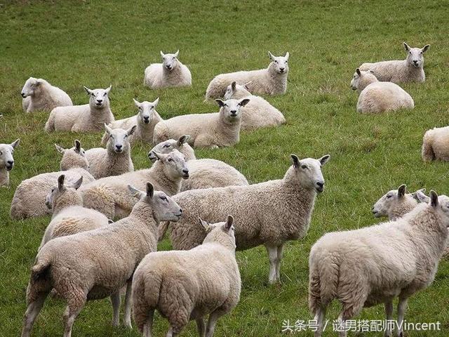 ��ƤЬ��ʷ����ס����ԣ������˧�ӽſ�ʼ