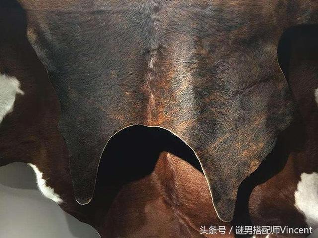 ��ƤЬ��ʷ����ס����ԣ������˧�ӽſ�ʼ