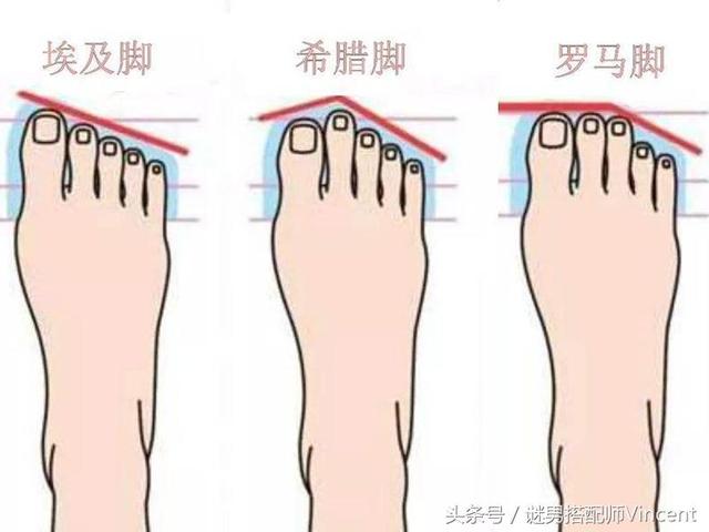 ��ƤЬ��ʷ����ס����ԣ������˧�ӽſ�ʼ