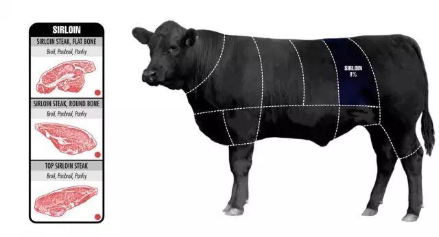 ţ��ָ�ϣ�ţ��ţ���иλ֪ʶȫ����