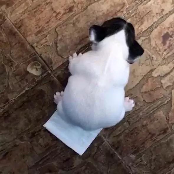 �ӹ���������״��ɫ���жϽ���״�������������֪ʶ��