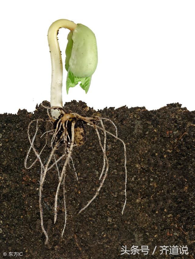 �ݽ���ʵ�ܼ򵥣���˵����һ�����������������ܶ࣬�����Ķ��꣡