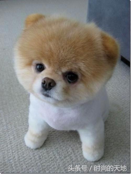 ����Ϊ���Ĺ���������������ѵȮ������ȫ���ˣ�����������