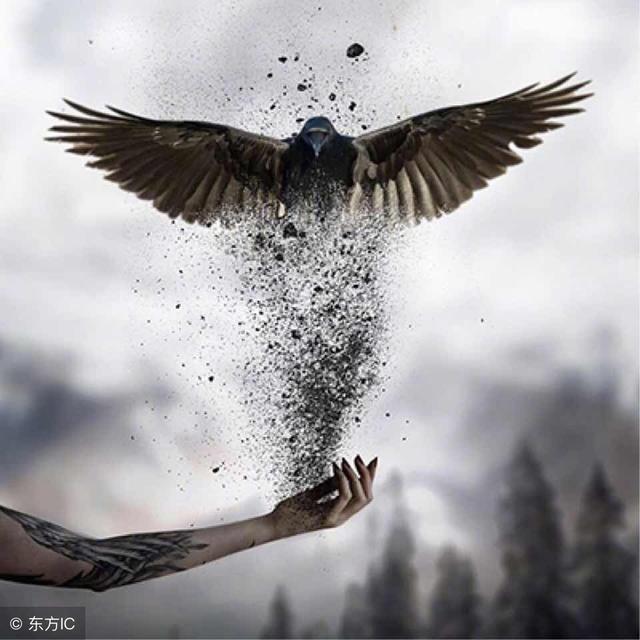 ӵС͸󿴱ʡлҵģ