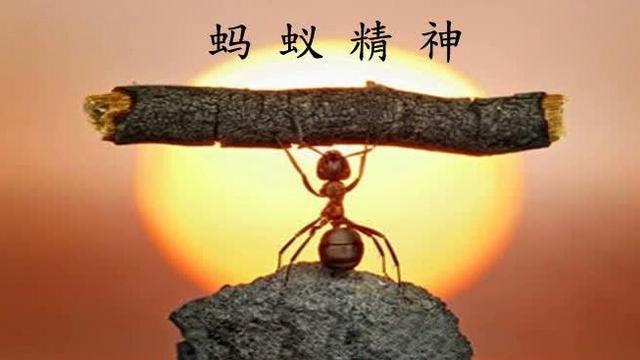 500ǿõ10·쵼ܲ