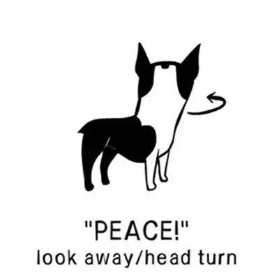 5���Ӷ������������ԣ��ٳɹ�����һ��Ҳ���ѣ�