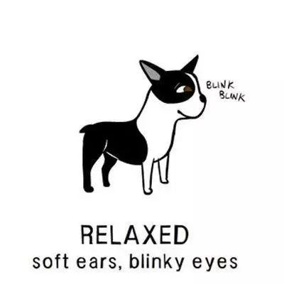 5���Ӷ������������ԣ��ٳɹ�����һ��Ҳ���ѣ�