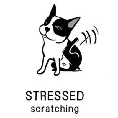 5���Ӷ������������ԣ��ٳɹ�����һ��Ҳ���ѣ�