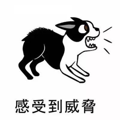 5���Ӷ������������ԣ��ٳɹ�����һ��Ҳ���ѣ�