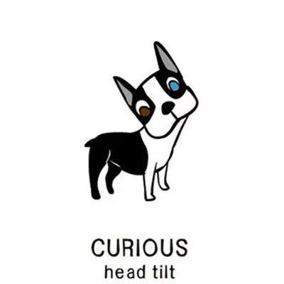 5���Ӷ������������ԣ��ٳɹ�����һ��Ҳ���ѣ�