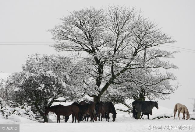 100����������н��ͣ������䣬ֵ���ղأ�