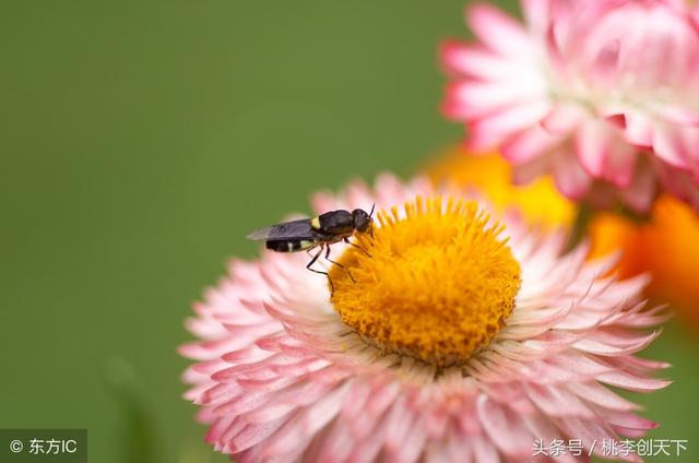 100����������н��ͣ������䣬ֵ���ղأ�