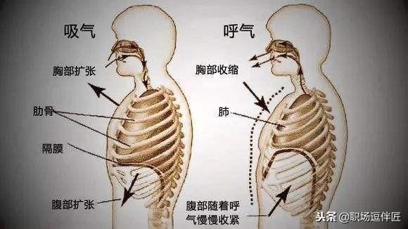 Ϊʲô��˵�Ļ��������ܲ���������������ף�����+ʵս+������