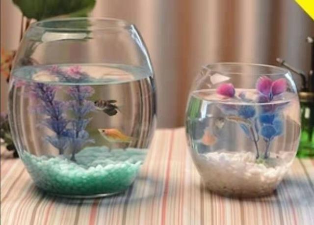 һ������С���㣬�������޹�����ˮ�ݵ�СԲ�����ã�