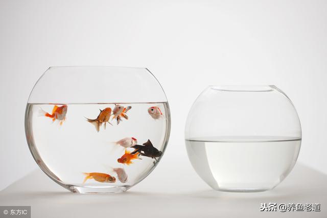 һ������С���㣬�������޹�����ˮ�ݵ�СԲ�����ã�