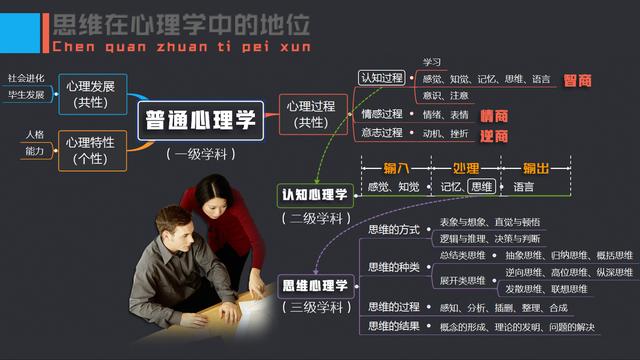 �ڲŲ�����Ҫԭ����˼ά�����ݡ����Ӳ���ʹ������ѵ������������