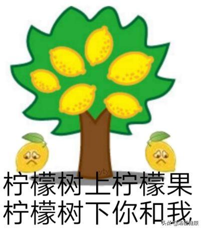 ���ʾ�����Ҫ����άC������Ȼ�������Ȳ�����