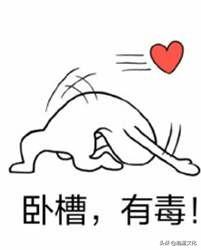 ������ʲô����ת����Щ��Ƥ�ľ��ӣ������ϲ��