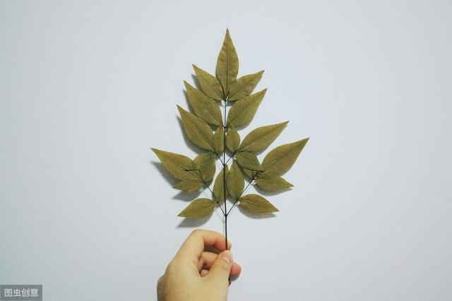 ����˵�����ˣ�һ���ھ�Ӯ�ˣ������������˼��ڿ���֮ǰ��Ӯ��