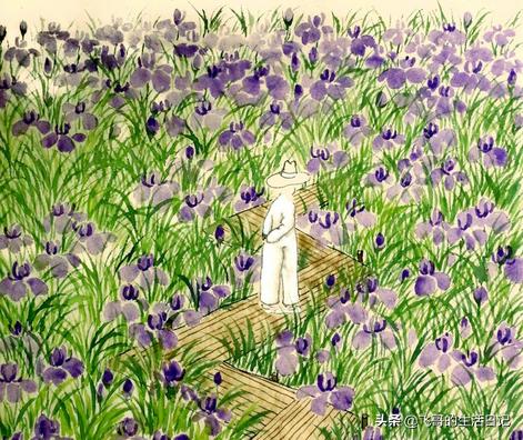 �����в���˵�����ˣ��������ղ�ϸ����