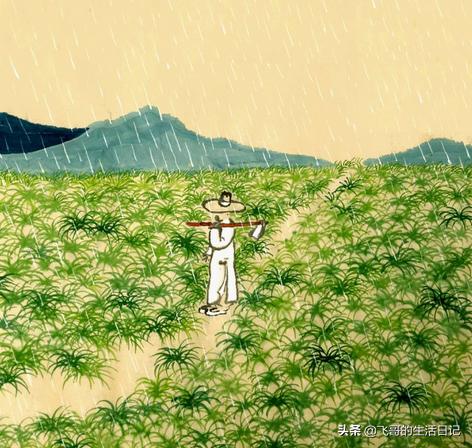 �����в���˵�����ˣ��������ղ�ϸ����