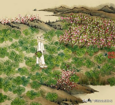 �����в���˵�����ˣ��������ղ�ϸ����