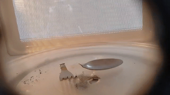 �����ܷŽ�΢��¯��10�����������һ��̫����