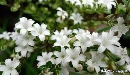 ������ȫ45�����ղ�������ʲô���������ã��͸�������������