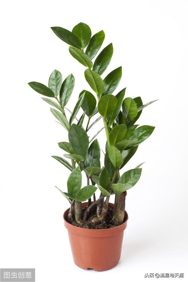 ������ȫ45�����ղ�������ʲô���������ã��͸�������������