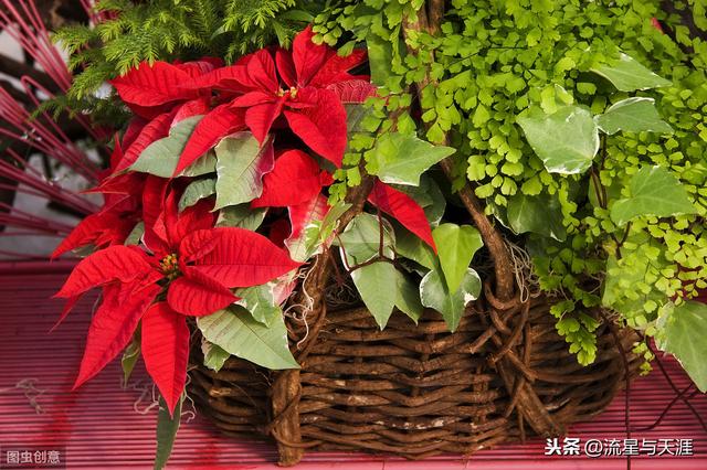 ������ȫ45�����ղ�������ʲô���������ã��͸�������������