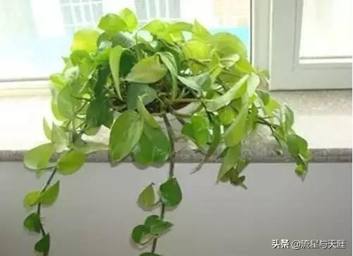 ������ȫ45�����ղ�������ʲô���������ã��͸�������������