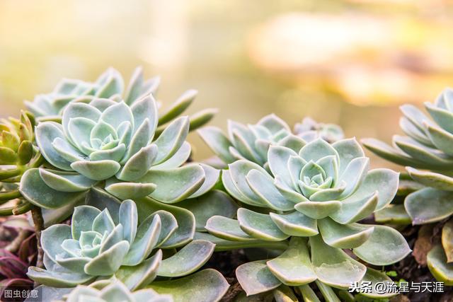 ������ȫ45�����ղ�������ʲô���������ã��͸�������������