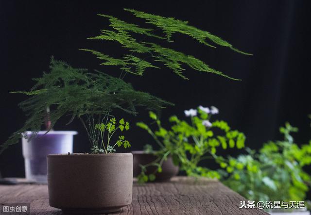 ������ȫ45�����ղ�������ʲô���������ã��͸�������������