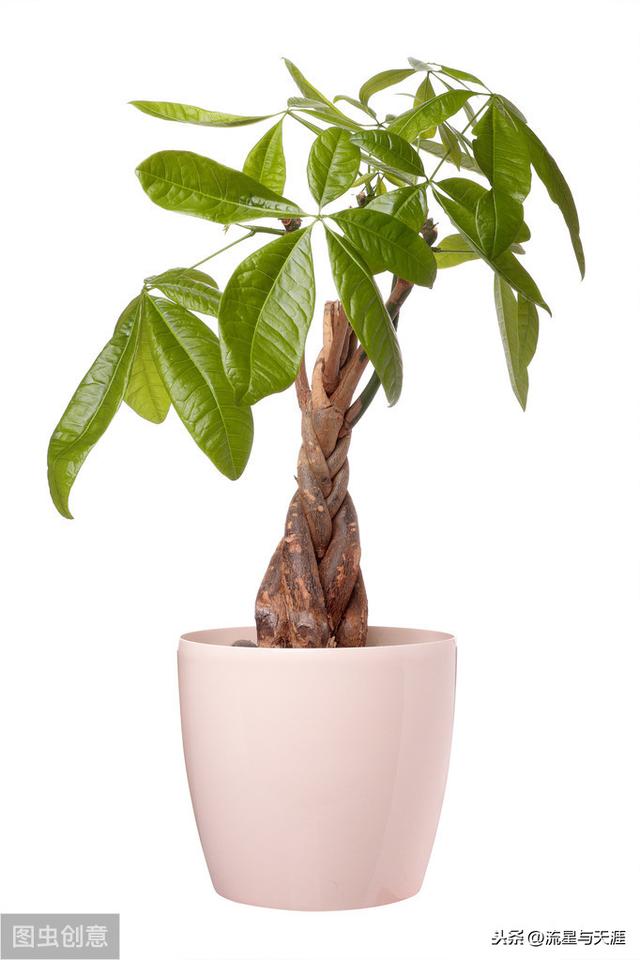 ������ȫ45�����ղ�������ʲô���������ã��͸�������������