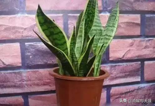 ������ȫ45�����ղ�������ʲô���������ã��͸�������������