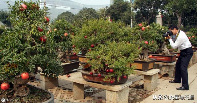 ������ȫ45�����ղ�������ʲô���������ã��͸�������������