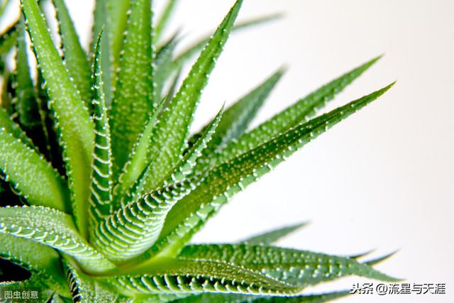 ������ȫ45�����ղ�������ʲô���������ã��͸�������������