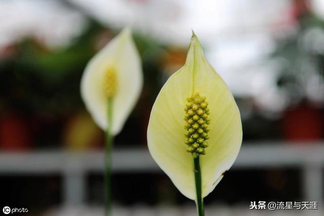 ������ȫ45�����ղ�������ʲô���������ã��͸�������������