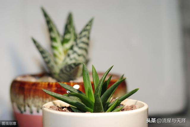 ������ȫ45�����ղ�������ʲô���������ã��͸�������������