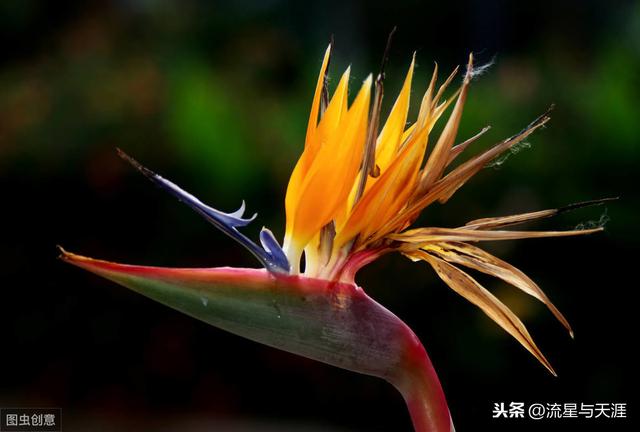 ������ȫ45�����ղ�������ʲô���������ã��͸�������������