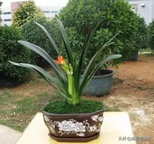 ������ȫ45�����ղ�������ʲô���������ã��͸�������������