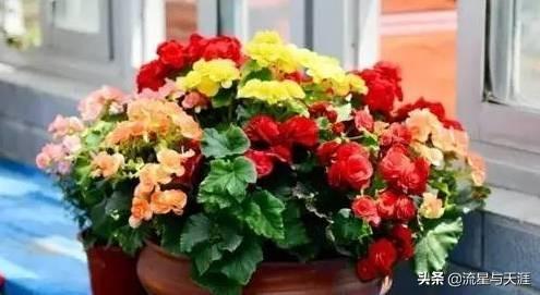 ������ȫ45�����ղ�������ʲô���������ã��͸�������������