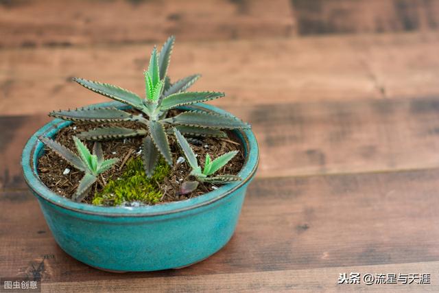 ������ȫ45�����ղ�������ʲô���������ã��͸�������������