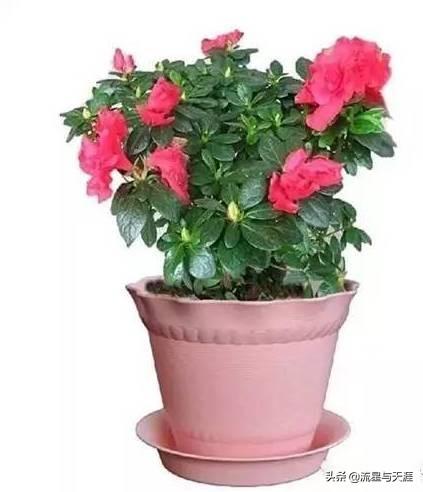 ������ȫ45�����ղ�������ʲô���������ã��͸�������������